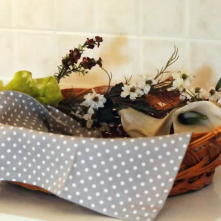 Katsarou 阿拉霍瓦